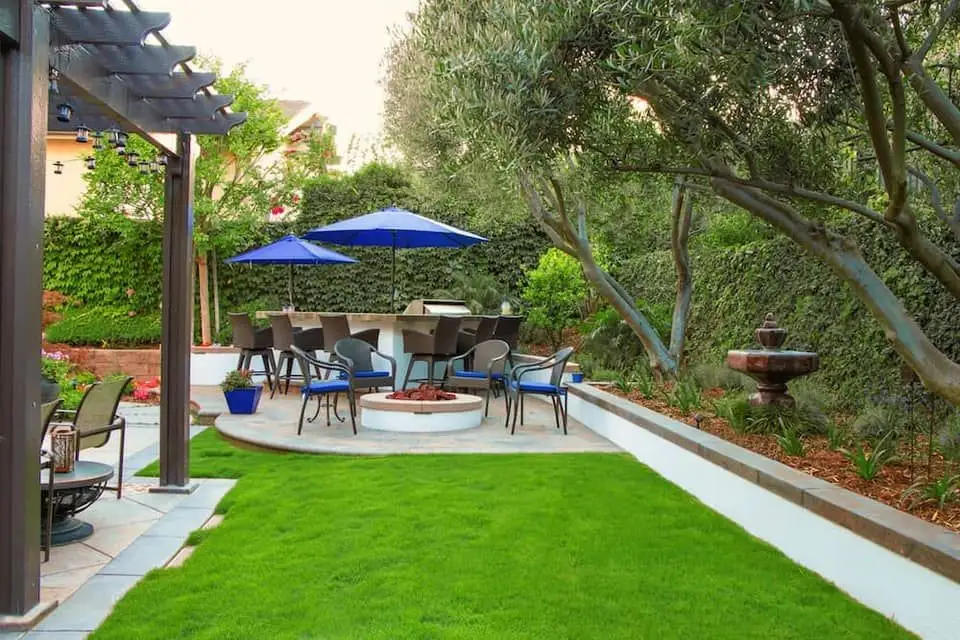 Privacy hedges project image 4