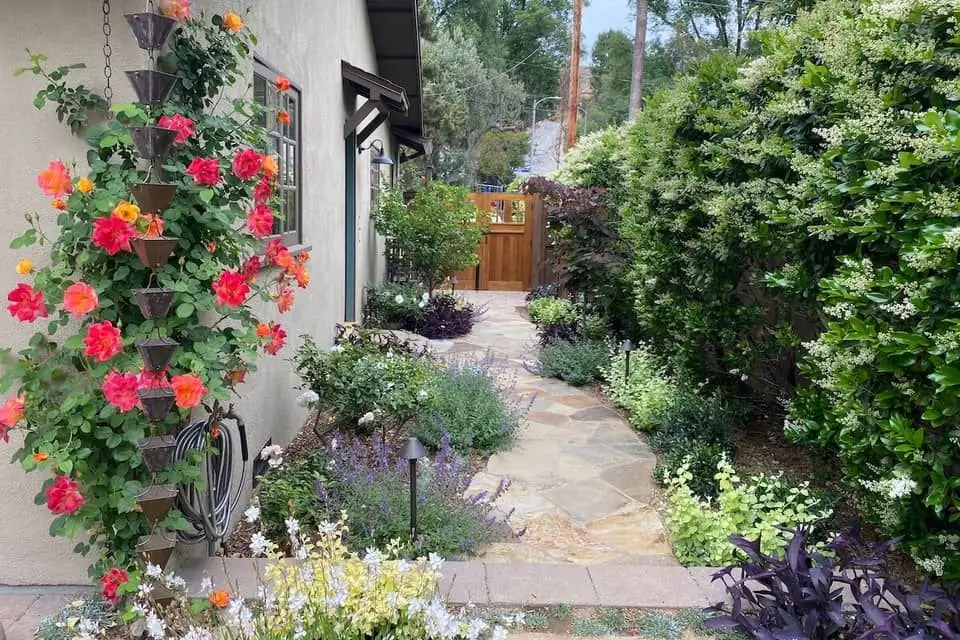 Sideyard walkway and a fence in the background.