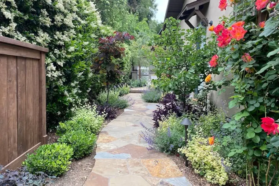 Sideyard walkway and the backyard in the background.
