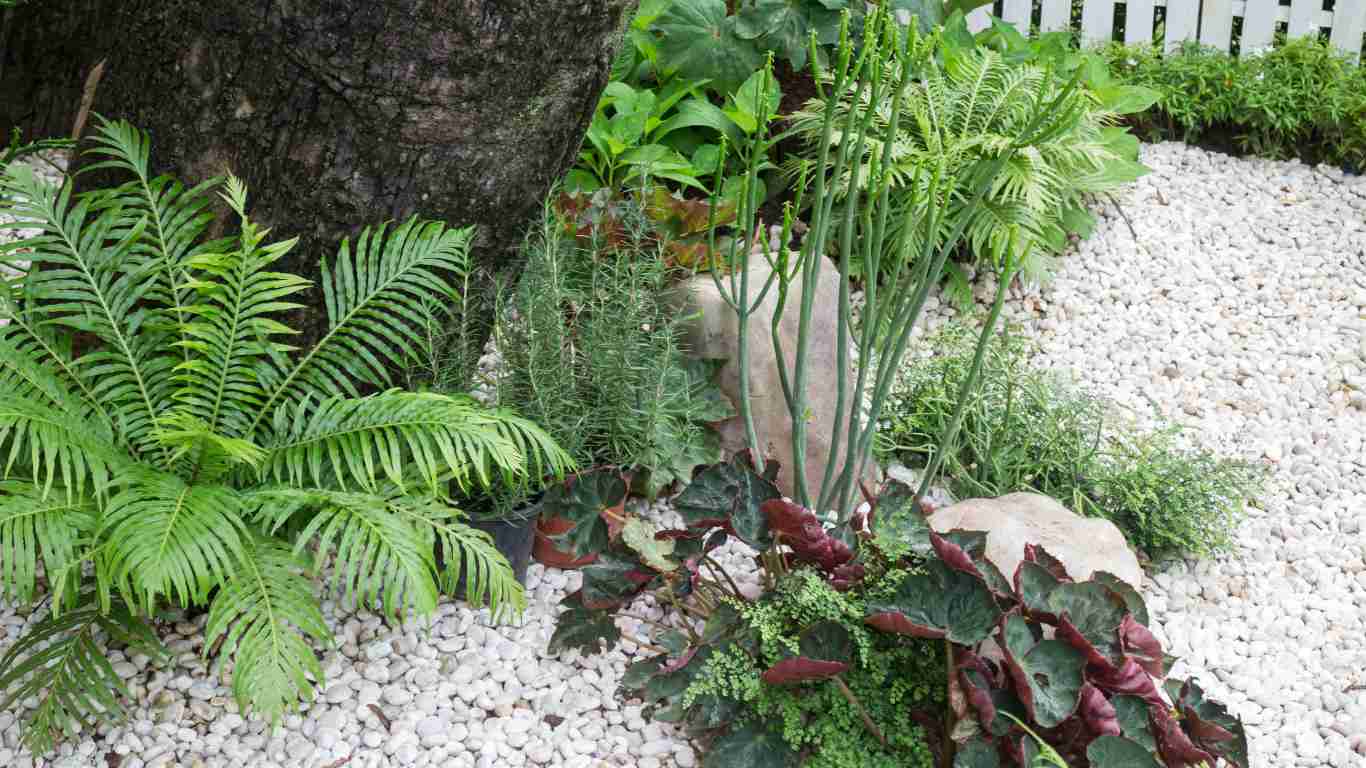 Calabasas Landscaping