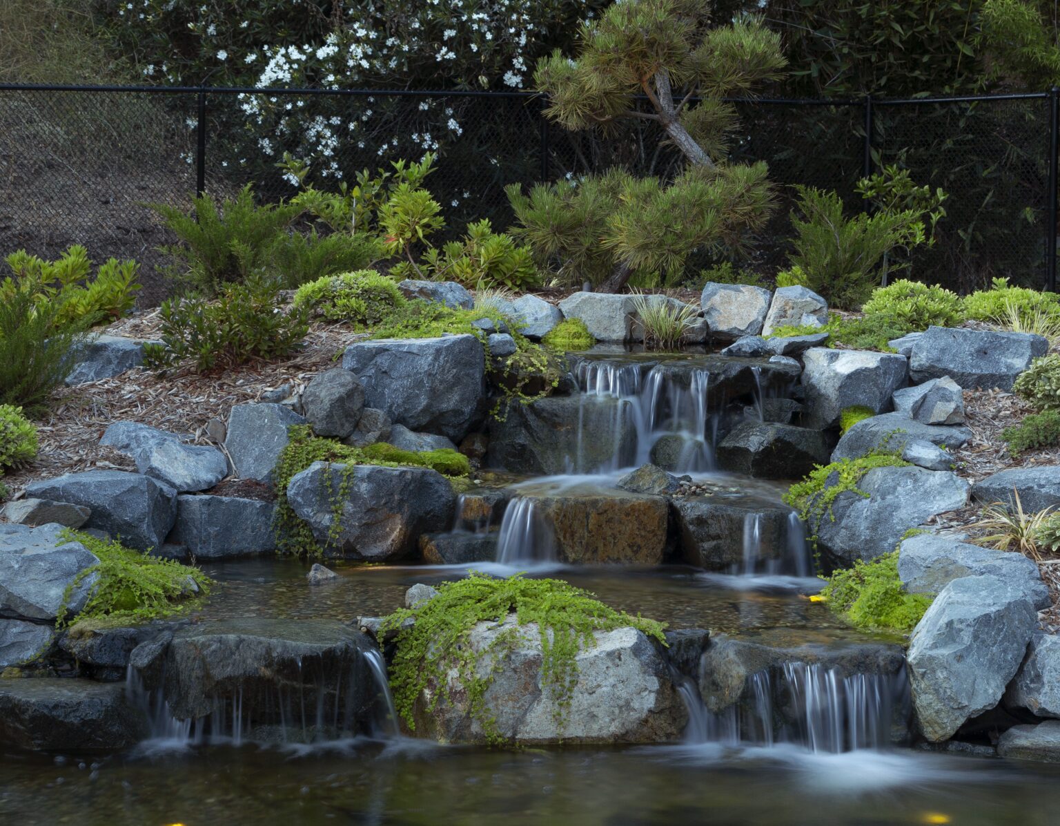 Pasadena pool contractors