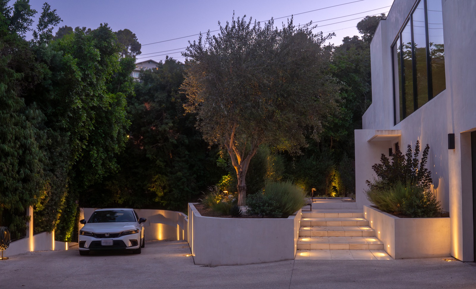 Twilight entry walkway with landscape lighting, olive tree, and planted retaining walls
